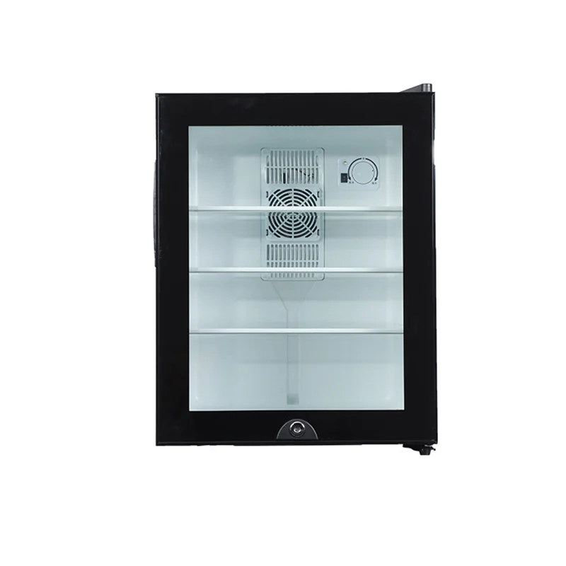 Wine Beer Fridge Small - Mini refrigerador refrigerador 40L puerta de